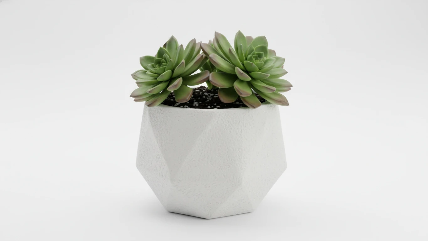 Cachepô Decorativo com Planta Suculenta