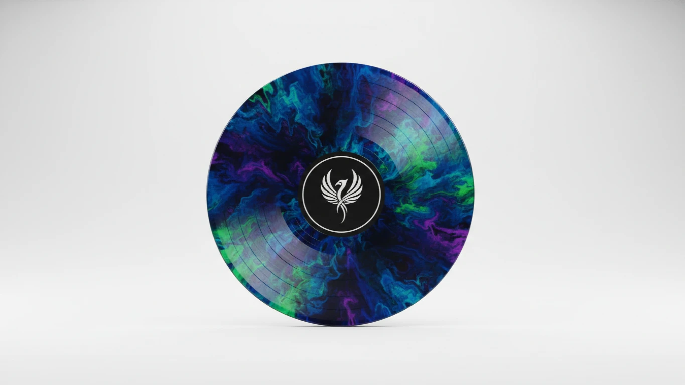 Placa de Vinil Decorativa de Banda Favorita