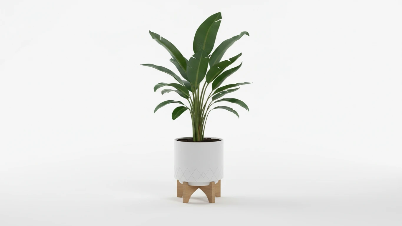 Planta Decorativa de Interior com Vaso Moderno
