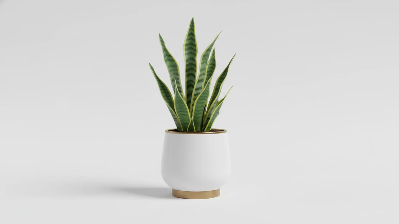 Planta de Interior de Baixa Manutenção com Vaso Elegante