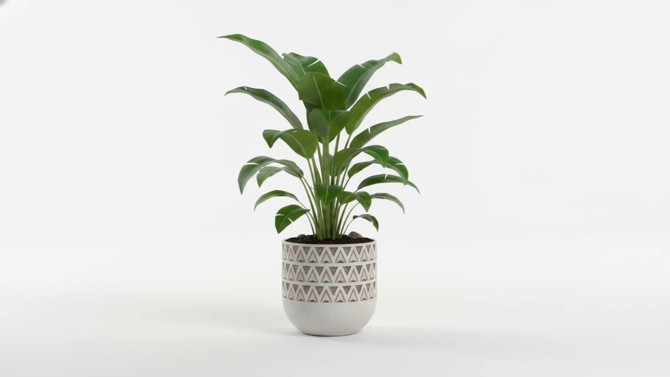 Planta para Interiores com Vaso Decorativo