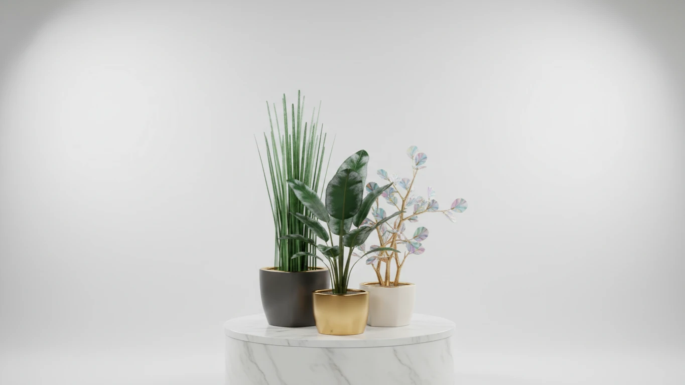 Planta Permanente de Design para Ambientes