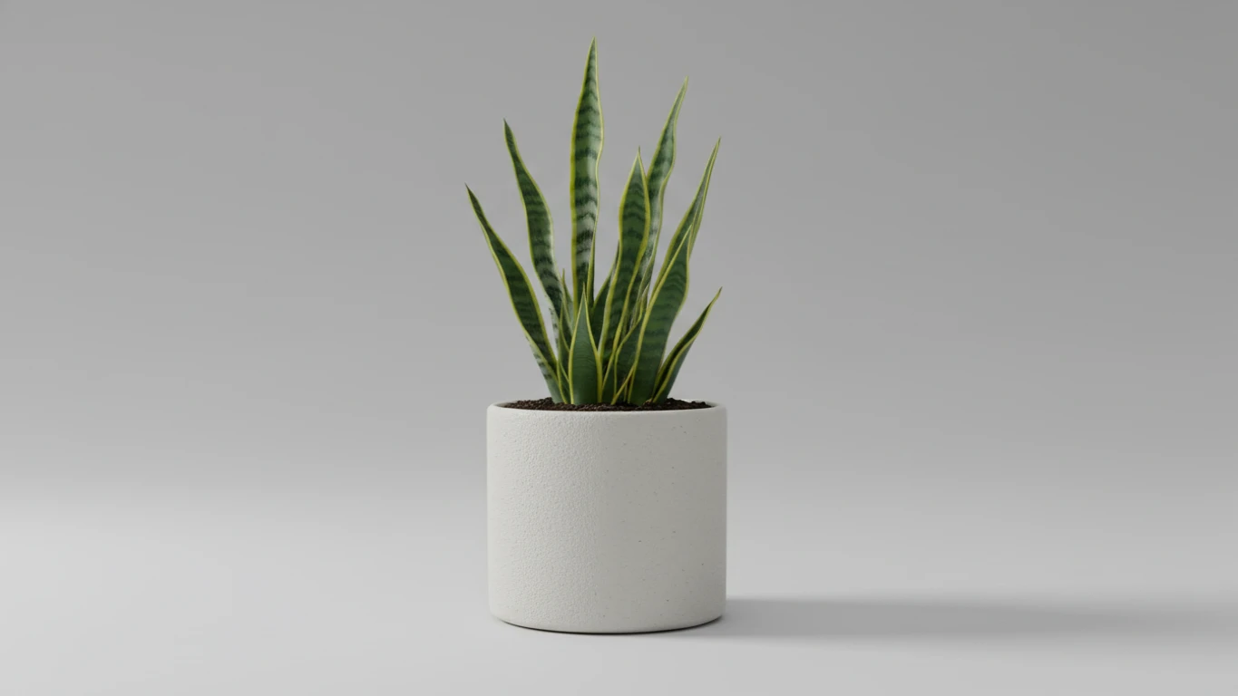 Planta em Vaso de Cerâmica Minimalista