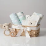 Presente para Bebê de 2 Meses Presente para Bebê de 2 Meses
