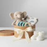 Presente para Bebê de 3 Meses