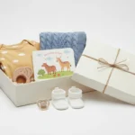 32 Ideias de Presente para Bebê de 8 Meses Presente para Bebê de 8 Meses