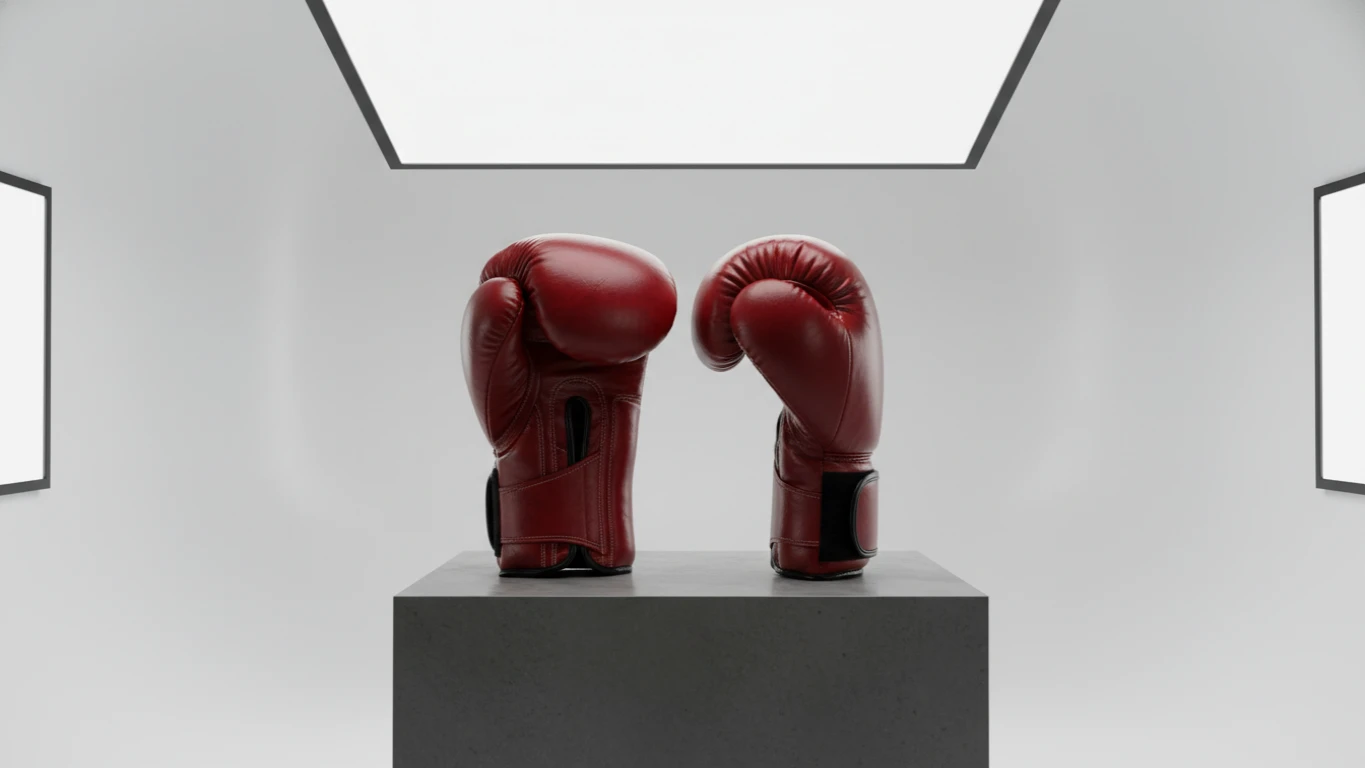 Luvas de Boxe Profissionais