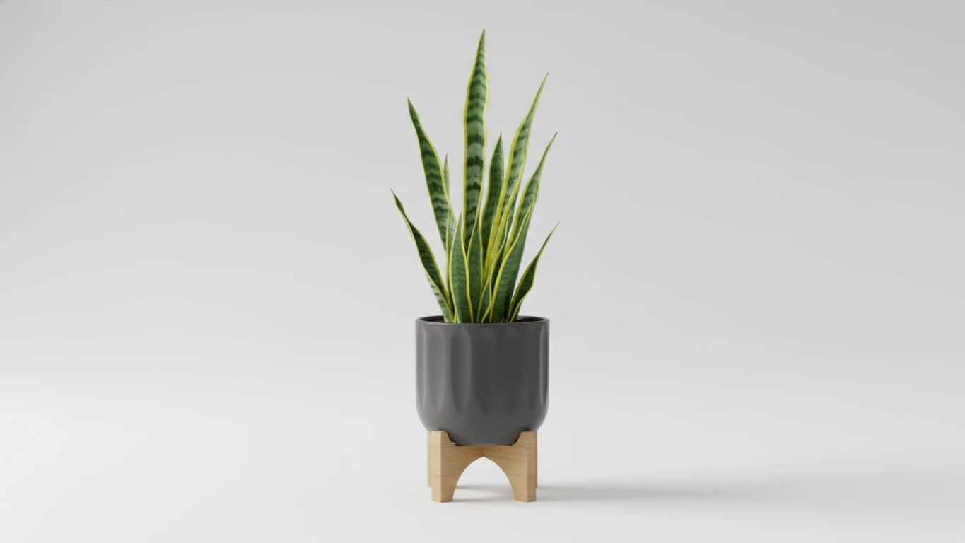Planta de Baixa Manutenção em Vaso de Design
